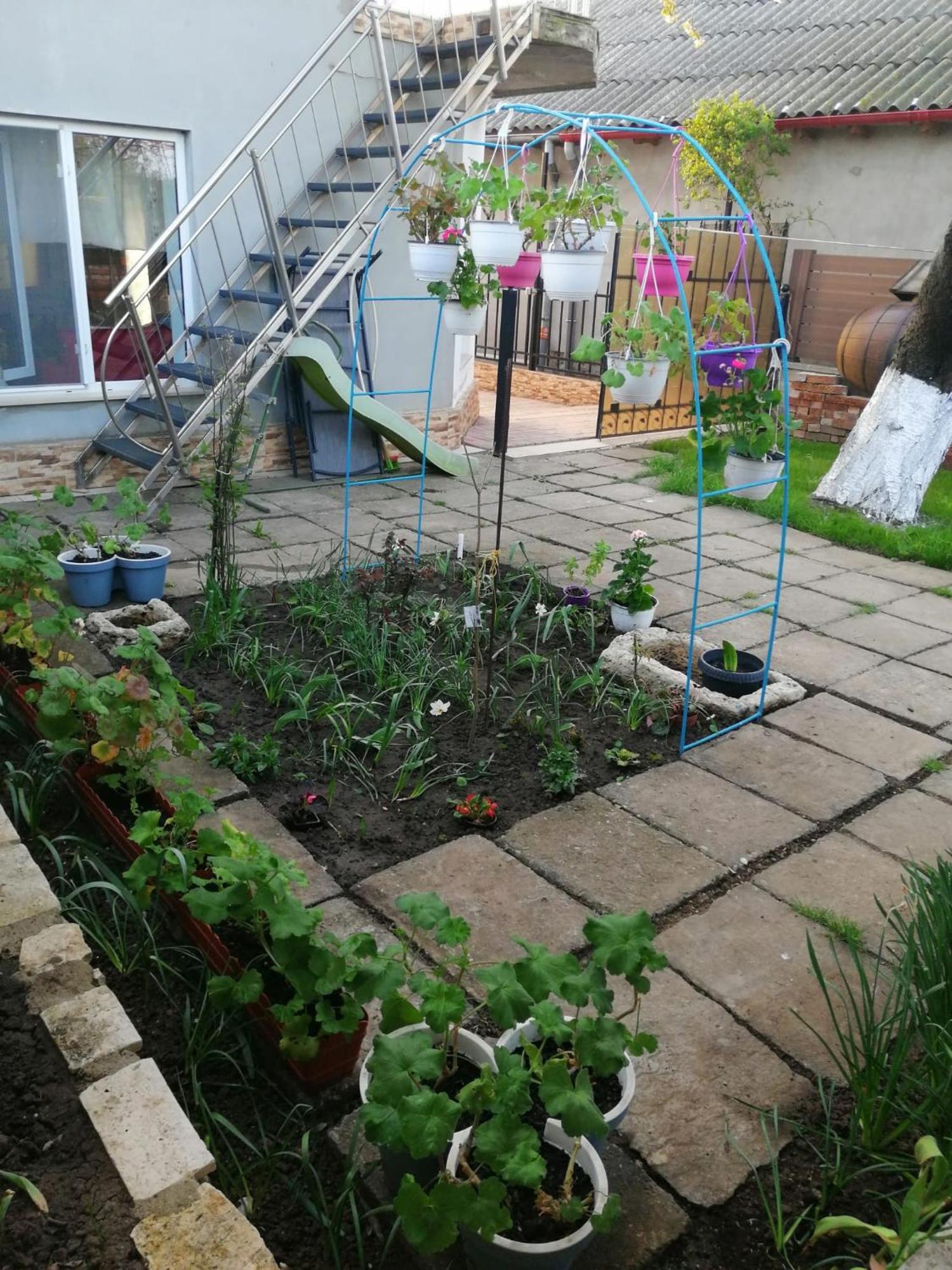 Casa Flor Lejlighed Două Mai Eksteriør billede